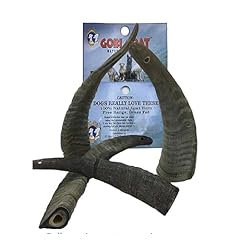 Pack gobi goat for sale  Delivered anywhere in USA 