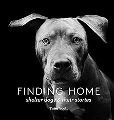 Finding home shelter for sale  Delivered anywhere in USA 