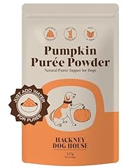 Pumpkin powder dogs for sale  Delivered anywhere in UK