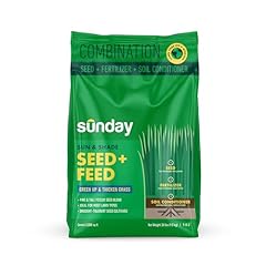 Sunday sun shade for sale  Delivered anywhere in USA 