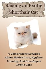 Raising exotic shorthair for sale  Delivered anywhere in UK