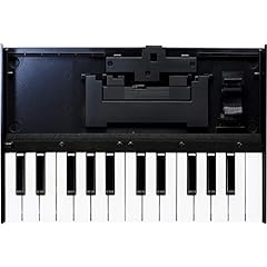 Roland 25m boutique for sale  Delivered anywhere in USA 