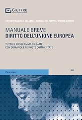 Diritto dell unione usato  Spedito ovunque in Italia 