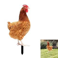Cour poulet décor d'occasion  Livré partout en France
