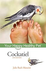 Cockatiel happy healthy for sale  Delivered anywhere in USA 