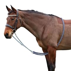 Equestrian lunging aid for sale  Delivered anywhere in UK