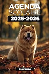 Agenda scolaire 2025 d'occasion  Livré partout en France