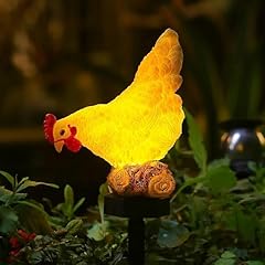 Chuangfeng outdoor chicken for sale  Delivered anywhere in USA 