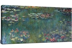 Large water lilies for sale  Delivered anywhere in USA 