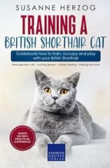 Training british shorthair for sale  Delivered anywhere in UK