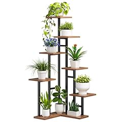 Hoobro corner plant for sale  Delivered anywhere in USA 