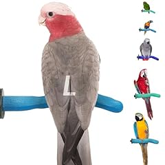 Sweet feet beak for sale  Delivered anywhere in USA 