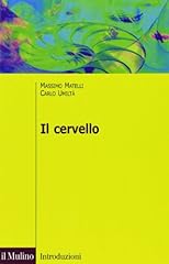 Cervello. anatomia funzione usato  Spedito ovunque in Italia 