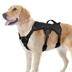 Rabbitgoo escape proof for sale  Delivered anywhere in USA 