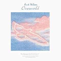 Overworld vinyle bleu d'occasion  Livré partout en France
