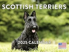 Scottish terrier calendar for sale  Delivered anywhere in USA 