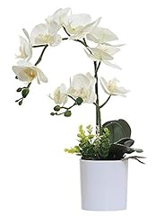 Omygarden white orchid for sale  Delivered anywhere in USA 