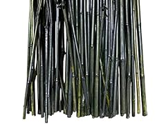 Tall natural thick for sale  Delivered anywhere in USA 
