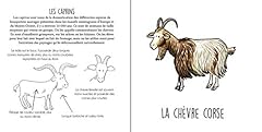 Animaux agricoles d'occasion  Livré partout en France
