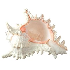 Nautical crush trading for sale  Delivered anywhere in USA 