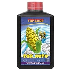 Top crop top usato  Spedito ovunque in Italia 