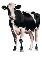 Cow statue party for sale  Delivered anywhere in USA 