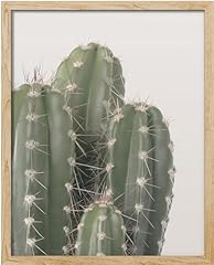 Signwin framed cactus for sale  Delivered anywhere in USA 