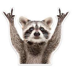 Duscoke rocking raccoon for sale  Delivered anywhere in USA 