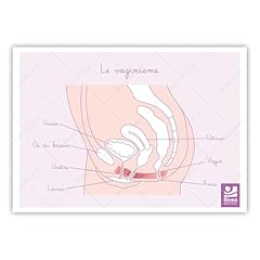 Bivea schéma anatomique d'occasion  Livré partout en France