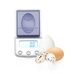 Incubator warehouse digital for sale  Delivered anywhere in USA 