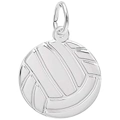 Rembrandt charms volleyball for sale  Delivered anywhere in USA 