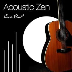 Acoustic zen usato  Spedito ovunque in Italia 