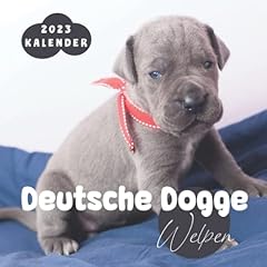 Deutsche dogge welpen gebraucht kaufen  Wird an jeden Ort in Deutschland