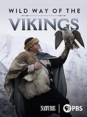 Wild way vikings for sale  Delivered anywhere in USA 