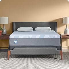 Sealy dreamlife foam for sale  Delivered anywhere in USA 