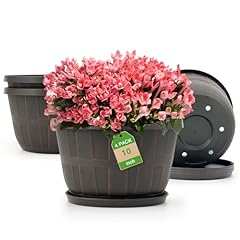 Quarut inch plastic for sale  Delivered anywhere in USA 