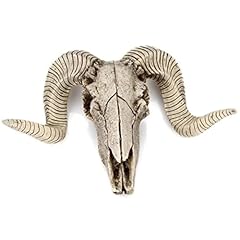 Mbvbn skull sheep for sale  Delivered anywhere in USA 