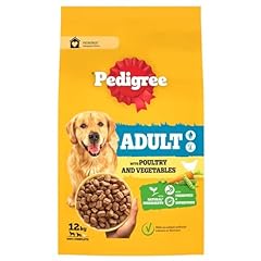 Pedigree adult dry for sale  Delivered anywhere in UK