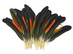 Pair parrot feathers for sale  Delivered anywhere in USA 
