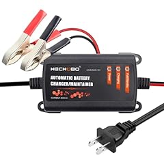 12v battery charger for sale  Delivered anywhere in USA 