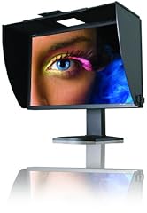 Nec spectraview reference usato  Spedito ovunque in Italia 