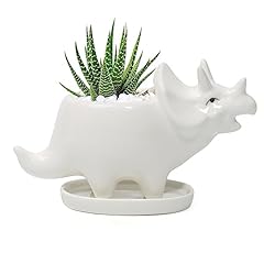 Dashare adorable ceramic for sale  Delivered anywhere in USA 