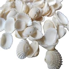 Artisamily 50pcs scallop for sale  Delivered anywhere in USA 