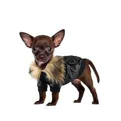 Namsan small dog for sale  Delivered anywhere in USA 