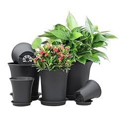 Oliz planter pot for sale  Delivered anywhere in USA 