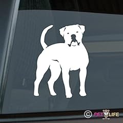 Mister petlife american for sale  Delivered anywhere in USA 
