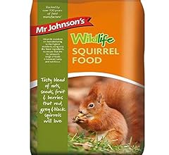 Johnsons wildlife squirrel for sale  Delivered anywhere in UK