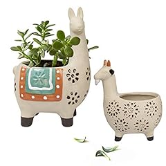 Ceramic animal succulent for sale  Delivered anywhere in USA 