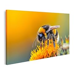Islandburner bild leinwand gebraucht kaufen  Wird an jeden Ort in Deutschland