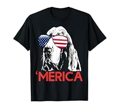 Merica basset hound for sale  Delivered anywhere in USA 